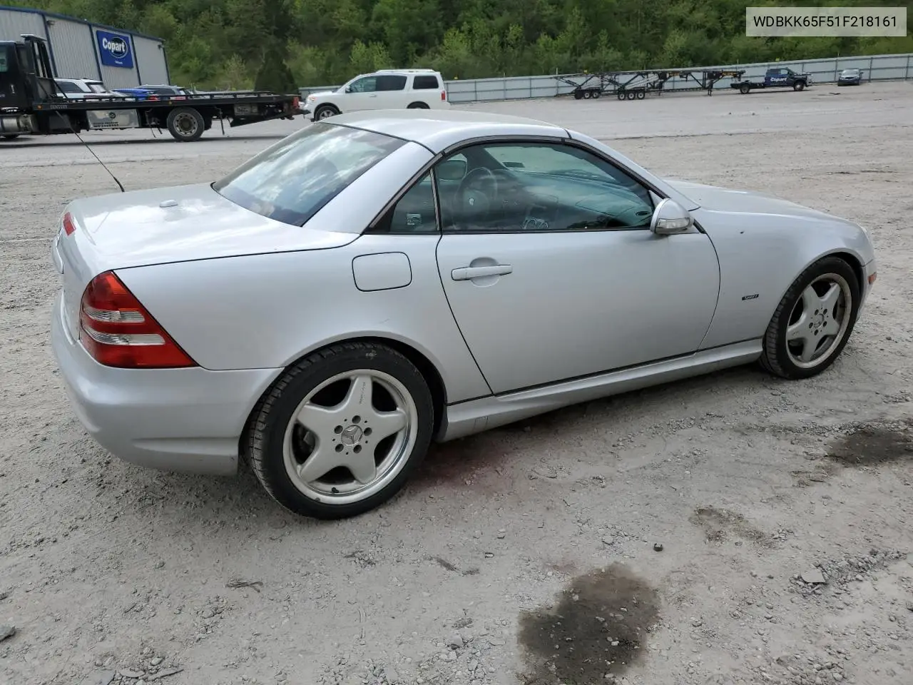 2001 Mercedes-Benz Slk 320 VIN: WDBKK65F51F218161 Lot: 54087855