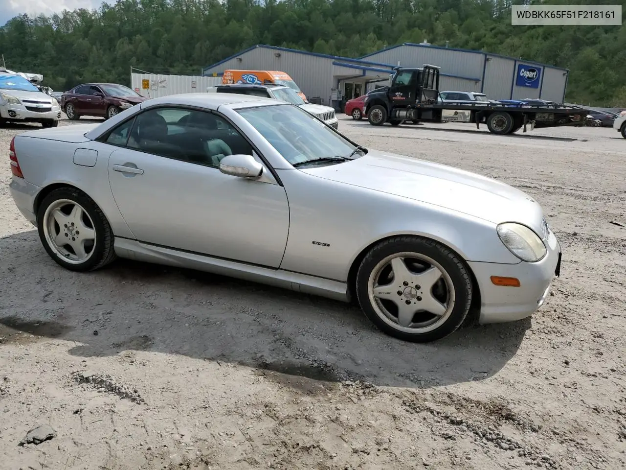 2001 Mercedes-Benz Slk 320 VIN: WDBKK65F51F218161 Lot: 54087855