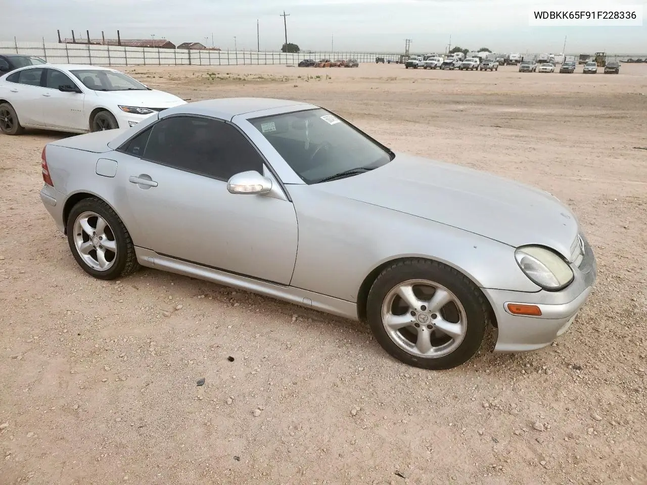 2001 Mercedes-Benz Slk 320 VIN: WDBKK65F91F228336 Lot: 56834915
