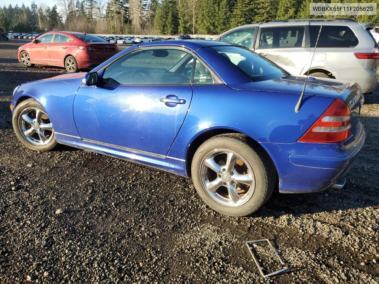 2001 Mercedes-Benz Slk 320 VIN: WDBKK65F11F205620 Lot: 88137335