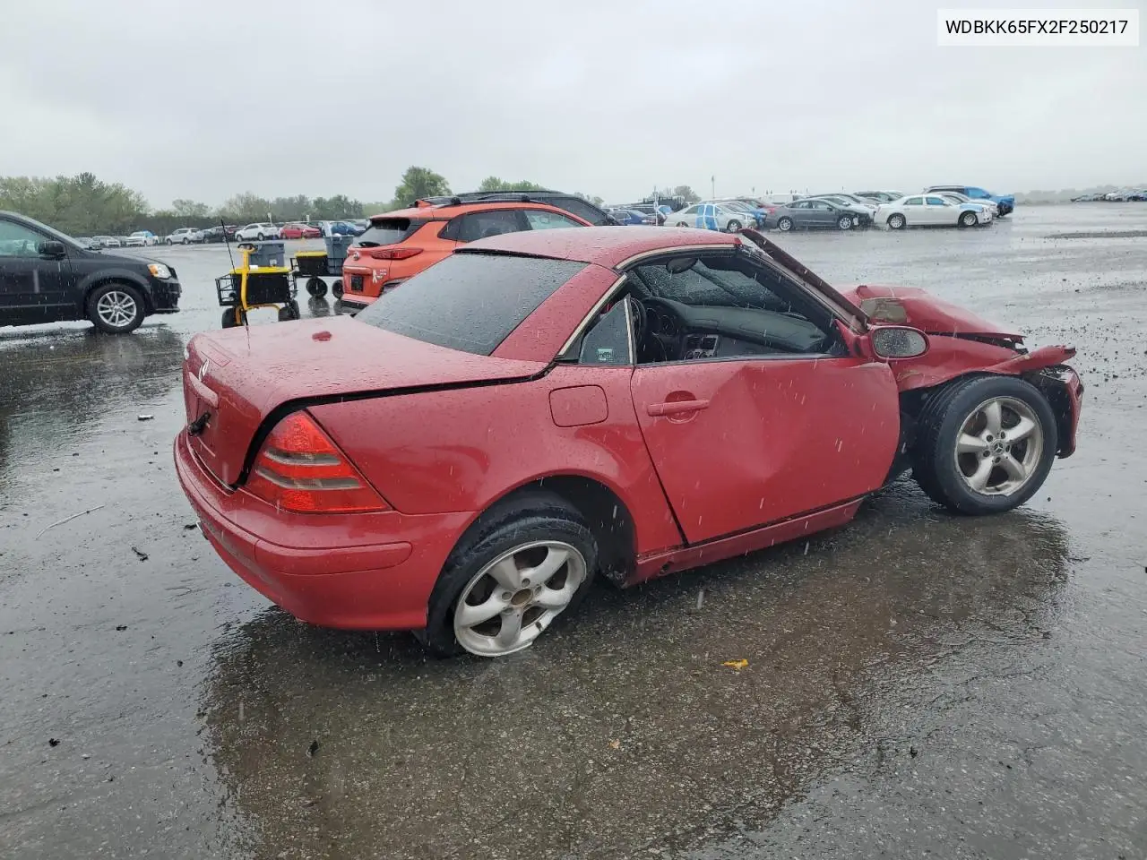 2002 Mercedes-Benz Slk 320 VIN: WDBKK65FX2F250217 Lot: 56328545