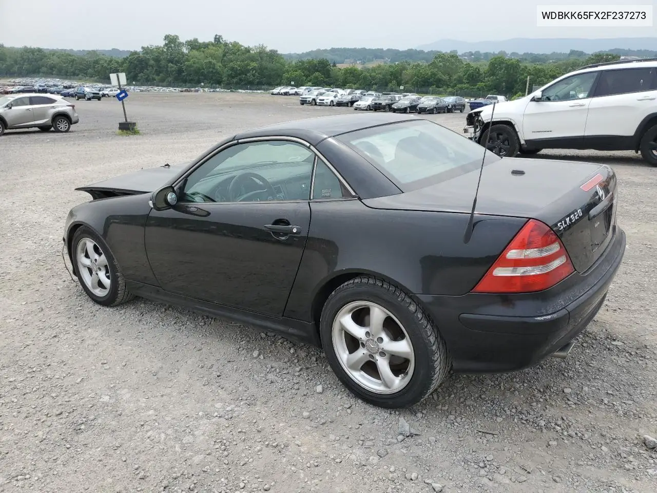 2002 Mercedes-Benz Slk 320 VIN: WDBKK65FX2F237273 Lot: 61068345