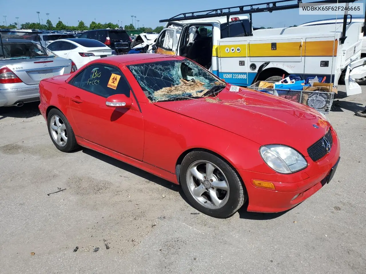2002 Mercedes-Benz Slk 320 VIN: WDBKK65F62F246665 Lot: 61410145