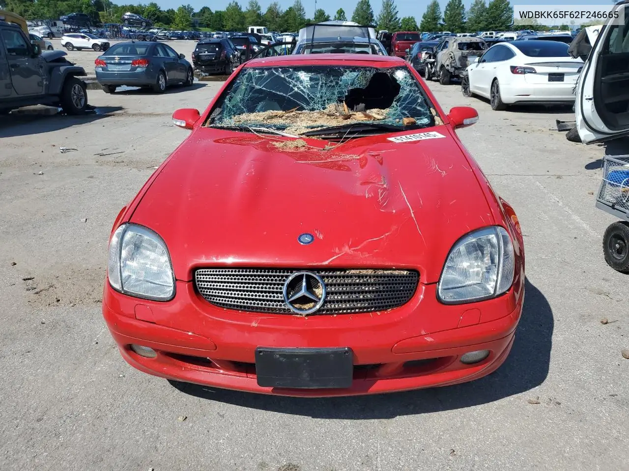 2002 Mercedes-Benz Slk 320 VIN: WDBKK65F62F246665 Lot: 61410145
