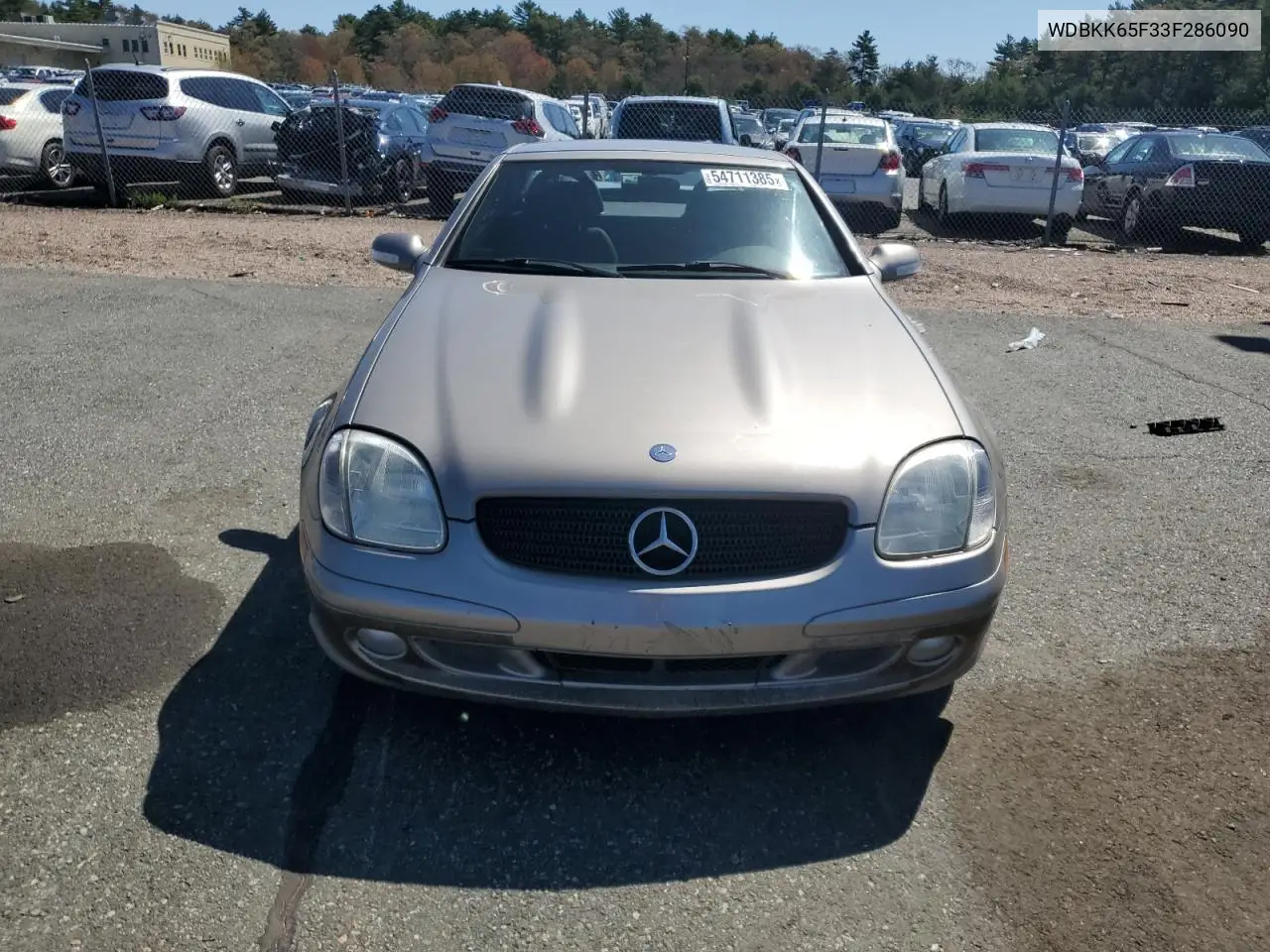 2003 Mercedes-Benz Slk 320 VIN: WDBKK65F33F286090 Lot: 54711385