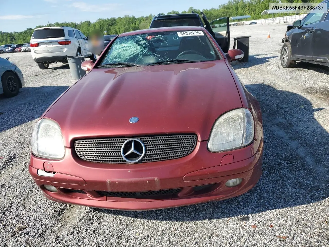 2003 Mercedes-Benz Slk 320 VIN: WDBKK65F43F288737 Lot: 54830295