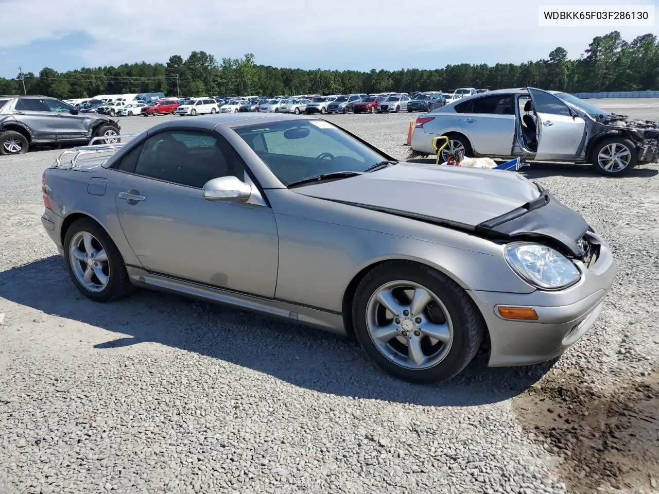 2003 Mercedes-Benz Slk 320 VIN: WDBKK65F03F286130 Lot: 61544385