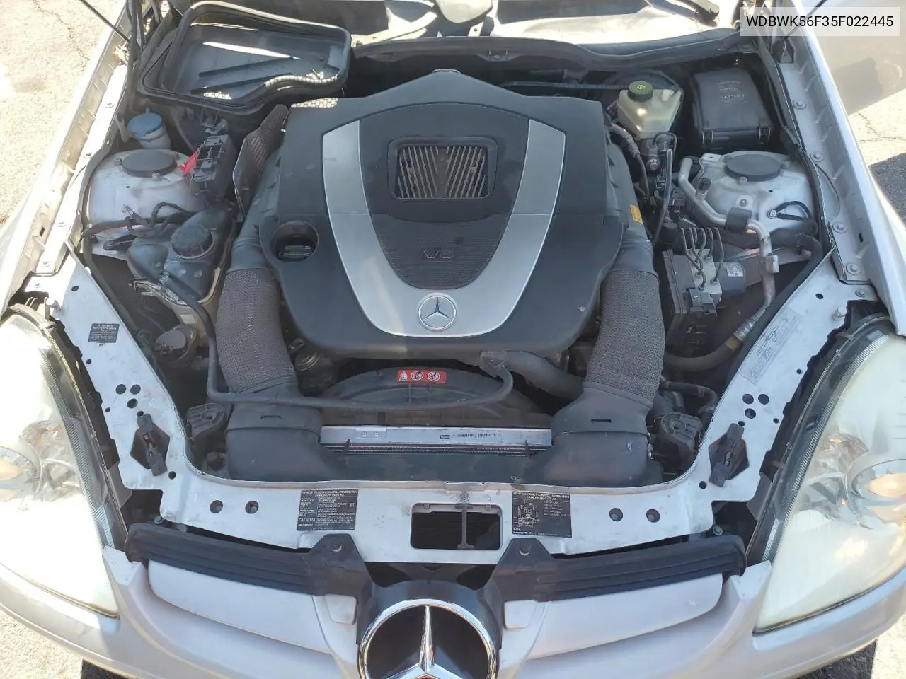 2005 Mercedes-Benz Slk 350 VIN: WDBWK56F35F022445 Lot: 53708015