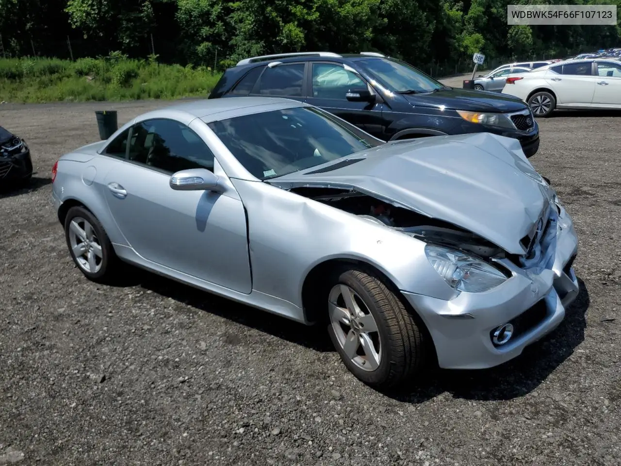 2006 Mercedes-Benz Slk 280 VIN: WDBWK54F66F107123 Lot: 62306965
