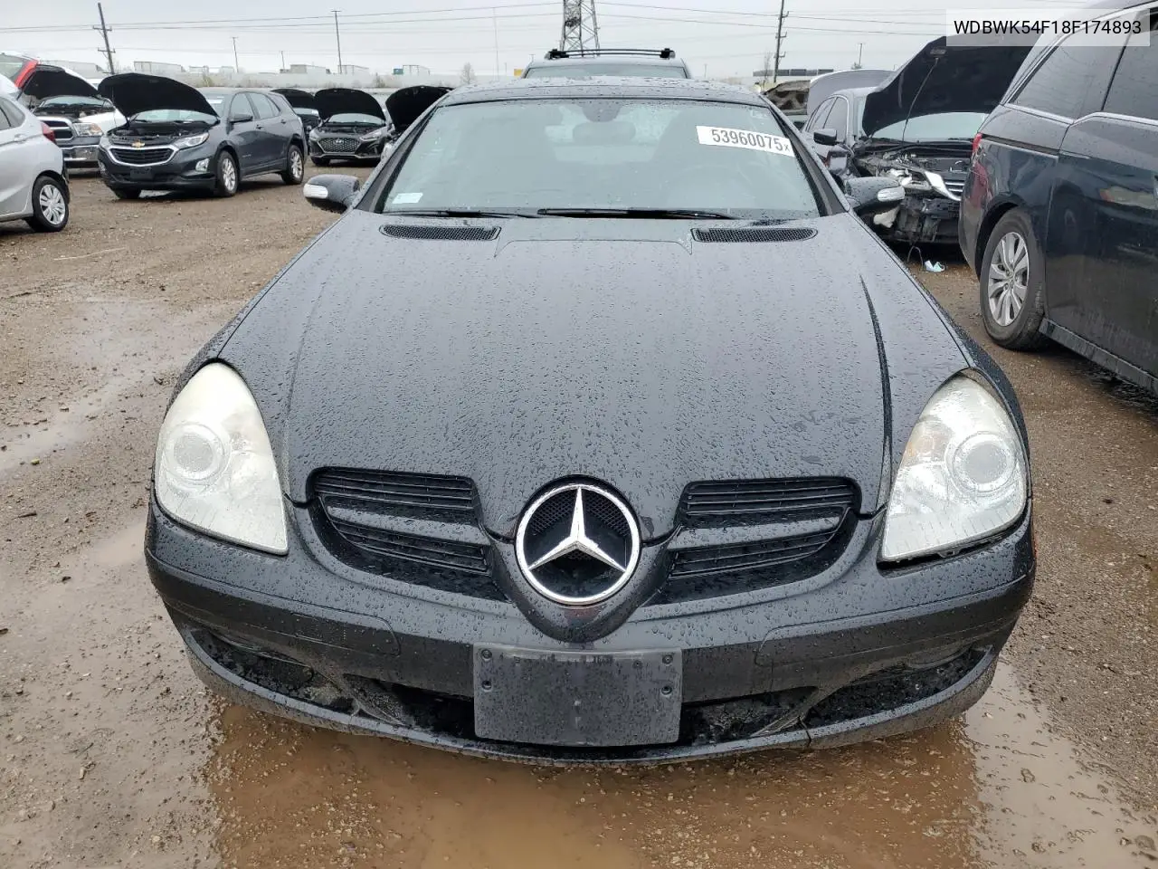 2008 Mercedes-Benz Slk 280 VIN: WDBWK54F18F174893 Lot: 53960075