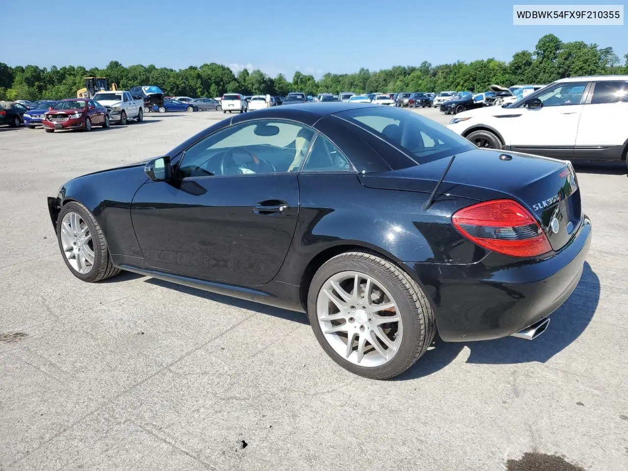 2009 Mercedes-Benz Slk 300 VIN: WDBWK54FX9F210355 Lot: 62992815