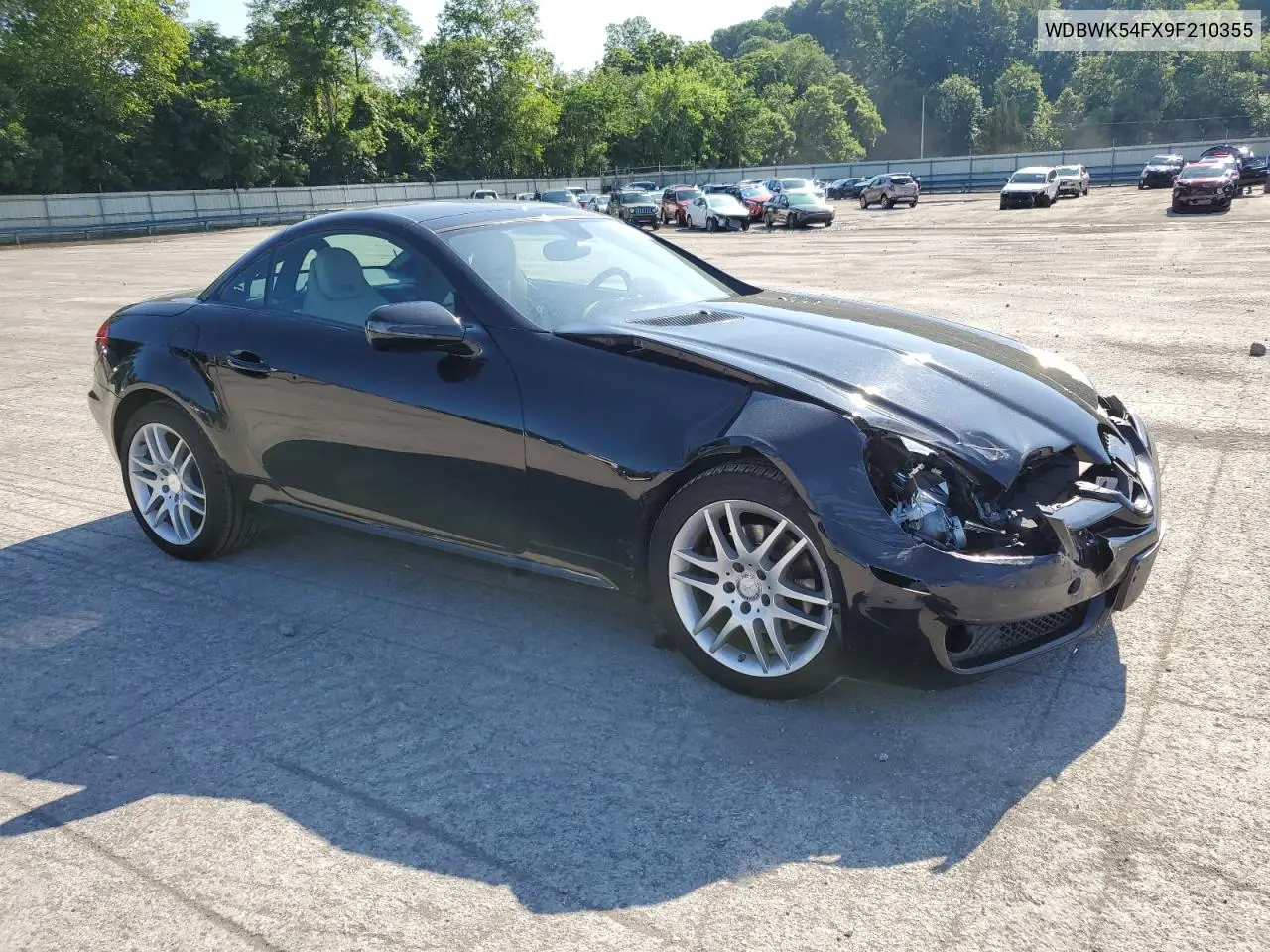 2009 Mercedes-Benz Slk 300 VIN: WDBWK54FX9F210355 Lot: 62992815
