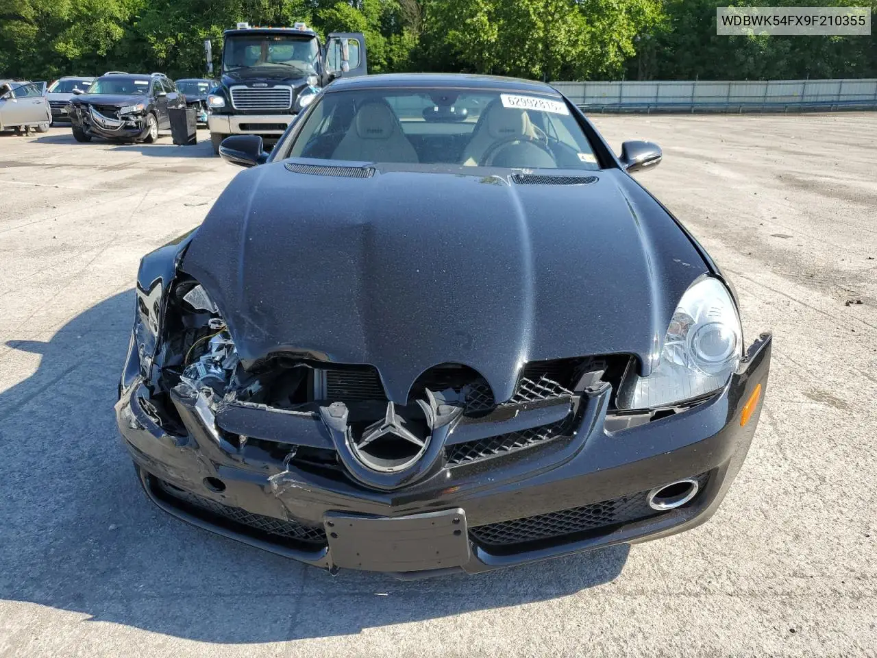 2009 Mercedes-Benz Slk 300 VIN: WDBWK54FX9F210355 Lot: 62992815