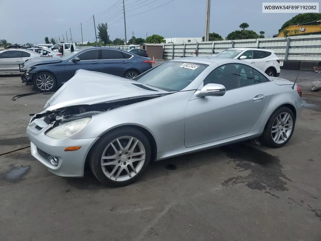 2009 Mercedes-Benz Slk 300 VIN: WDBWK54F89F192082 Lot: 63422345