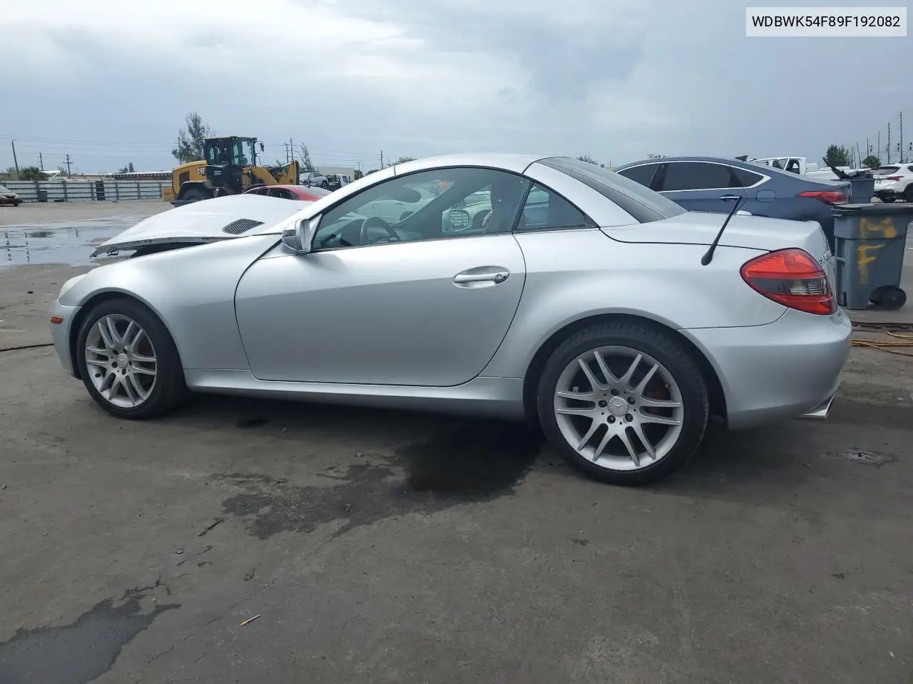 2009 Mercedes-Benz Slk 300 VIN: WDBWK54F89F192082 Lot: 63422345