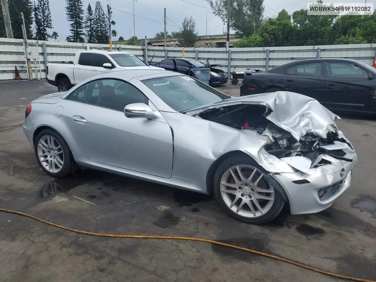 2009 Mercedes-Benz Slk 300 VIN: WDBWK54F89F192082 Lot: 63422345