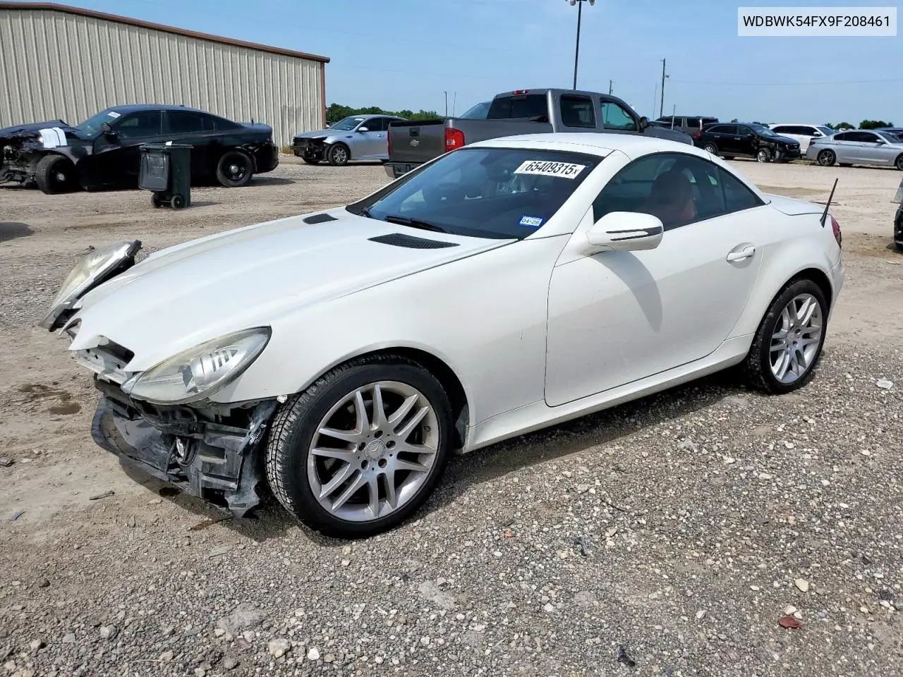 2009 Mercedes-Benz Slk 300 VIN: WDBWK54FX9F208461 Lot: 65409315