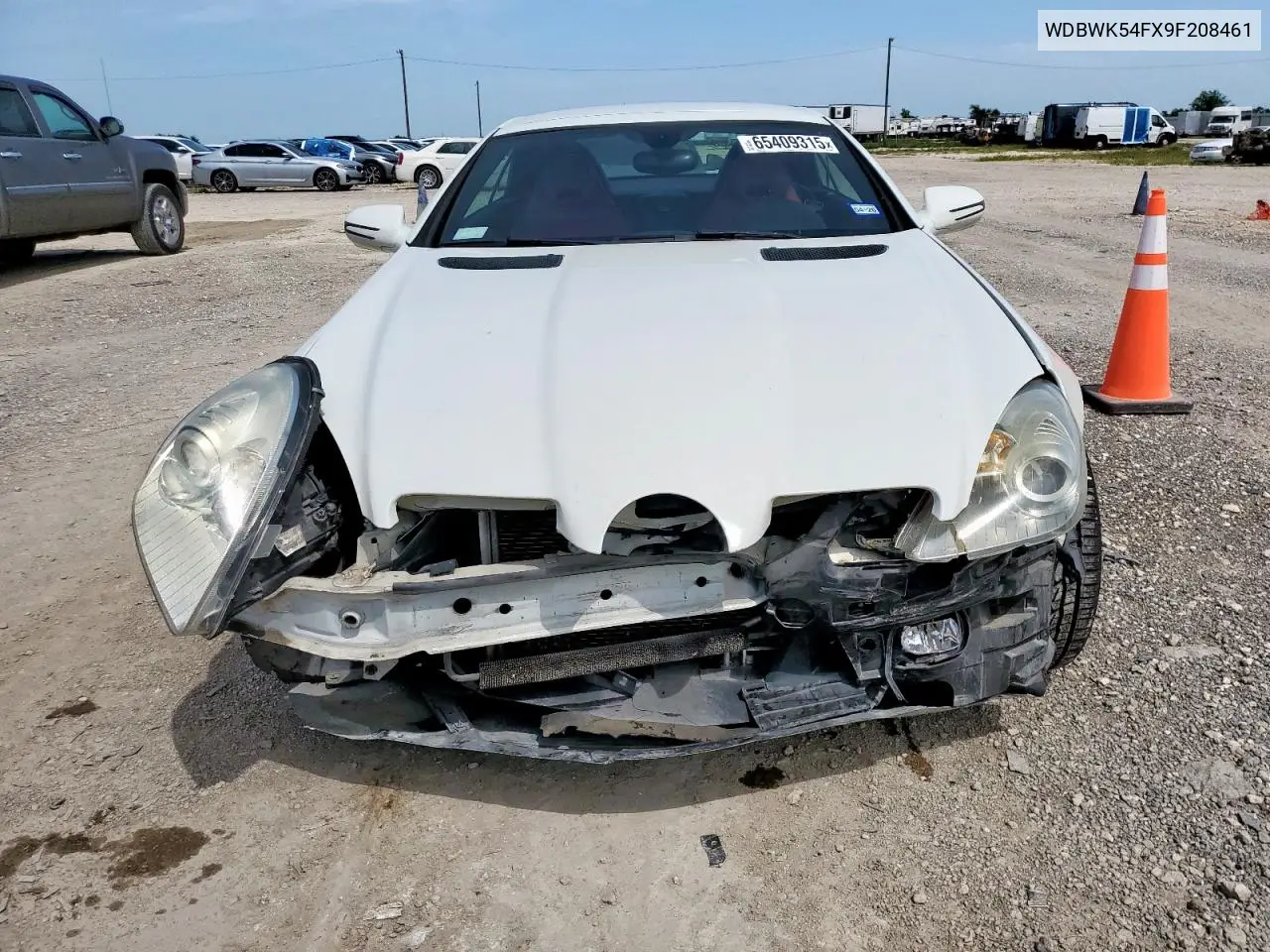 2009 Mercedes-Benz Slk 300 VIN: WDBWK54FX9F208461 Lot: 65409315