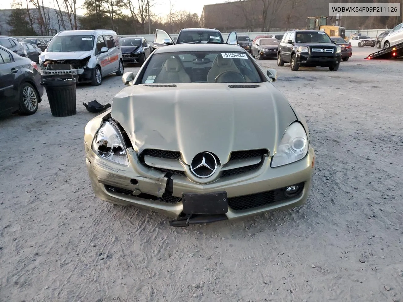 2009 Mercedes-Benz Slk 300 VIN: WDBWK54F09F211126 Lot: 81586834