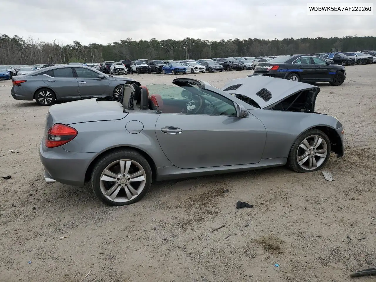 2010 Mercedes-Benz Slk 300 VIN: WDBWK5EA7AF229260 Lot: 49476755