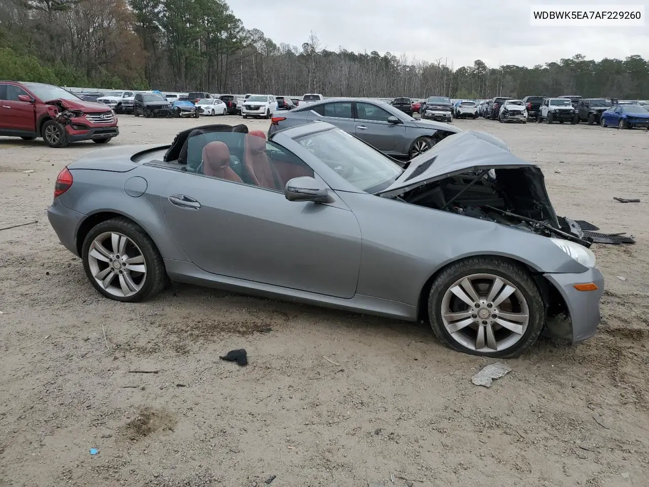 2010 Mercedes-Benz Slk 300 VIN: WDBWK5EA7AF229260 Lot: 49476755