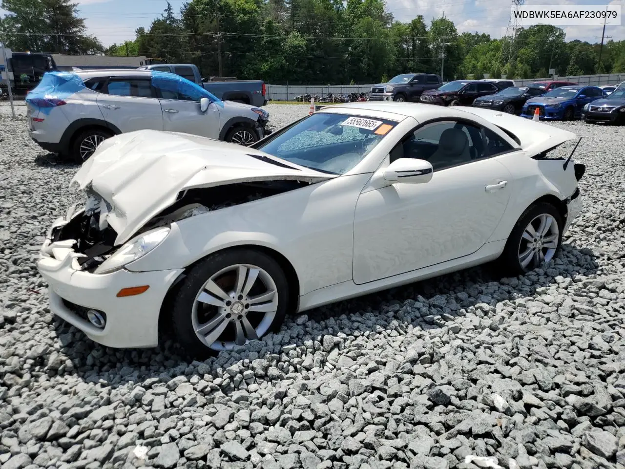 2010 Mercedes-Benz Slk 300 VIN: WDBWK5EA6AF230979 Lot: 55562665