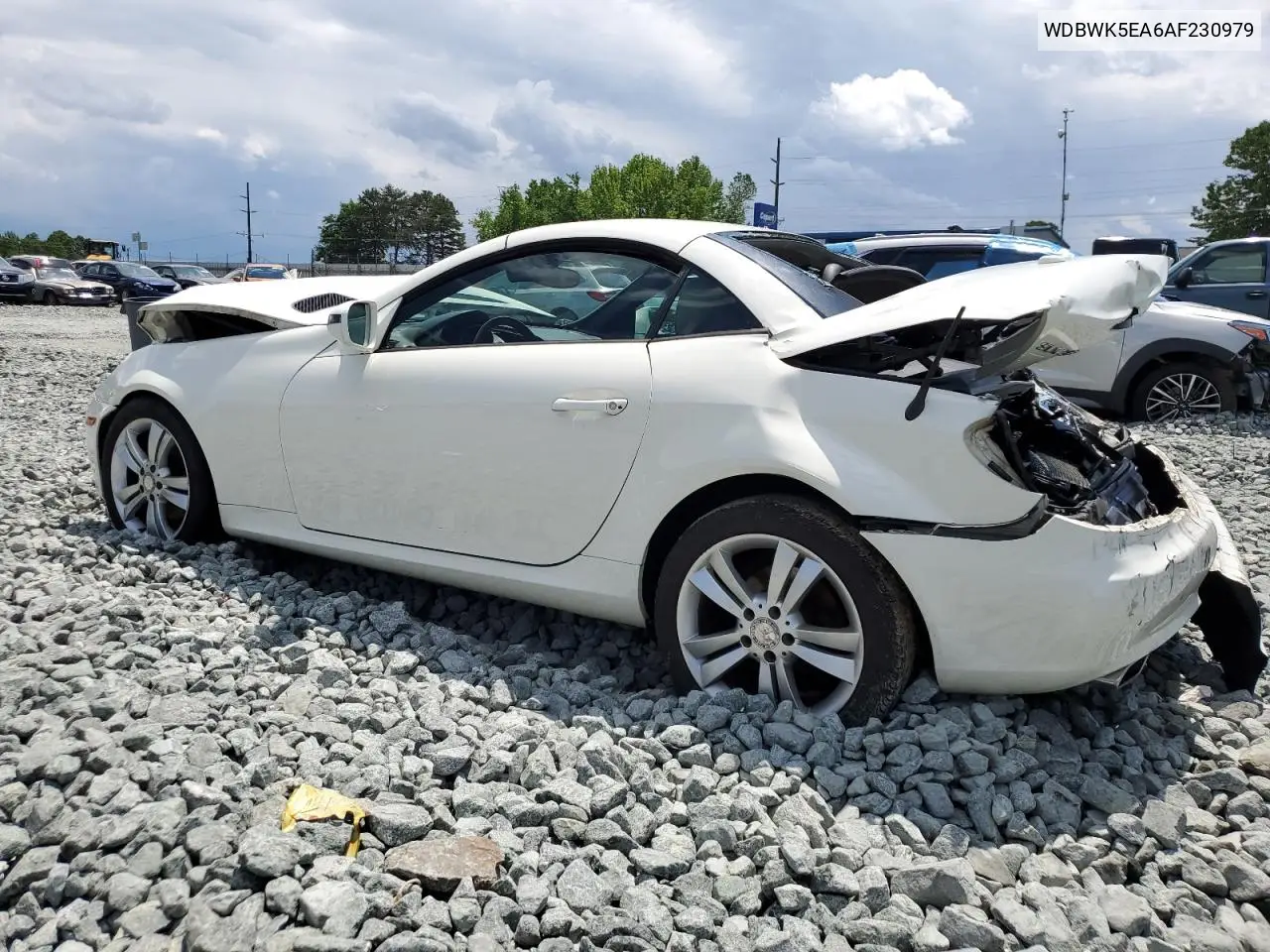 2010 Mercedes-Benz Slk 300 VIN: WDBWK5EA6AF230979 Lot: 55562665