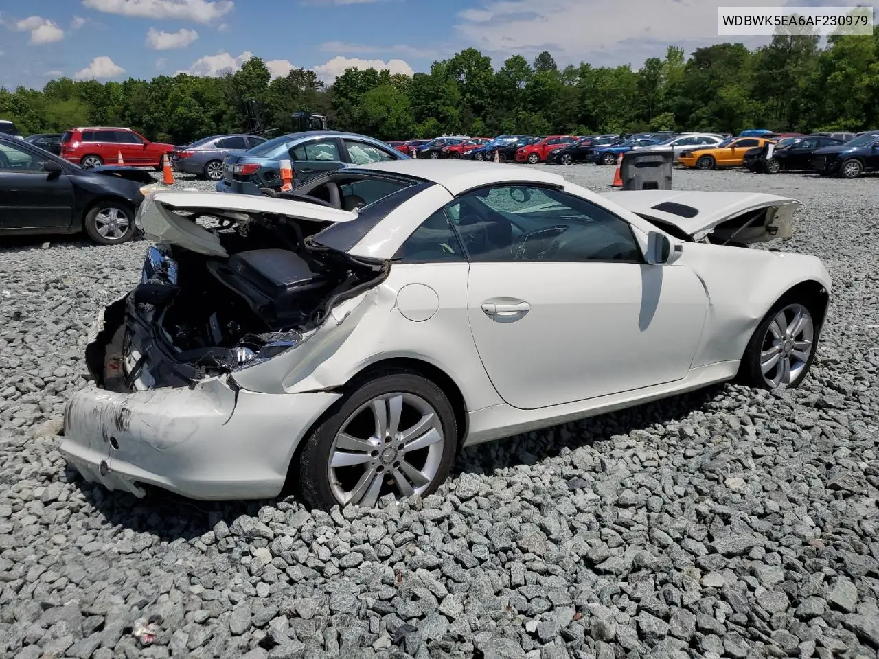 2010 Mercedes-Benz Slk 300 VIN: WDBWK5EA6AF230979 Lot: 55562665