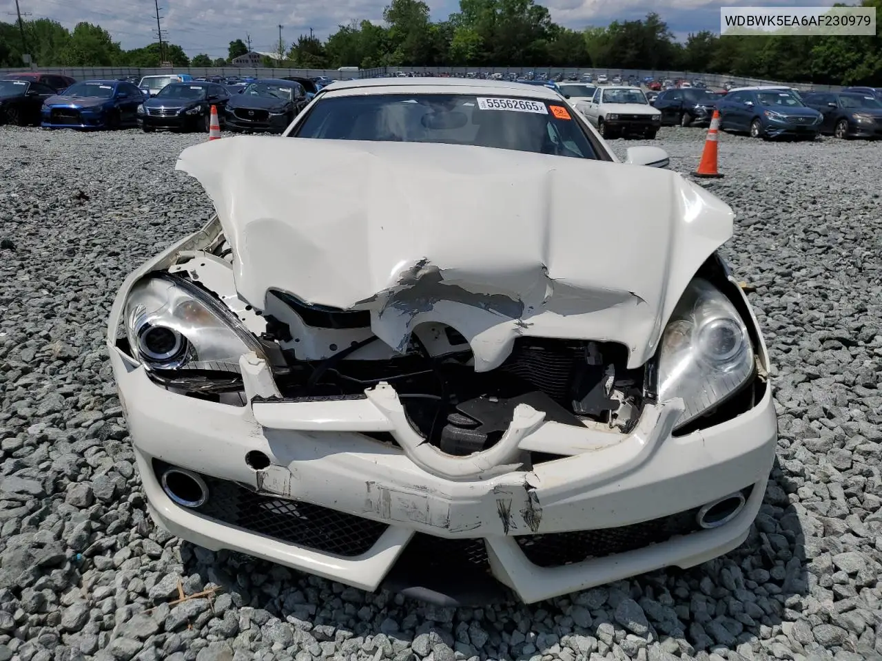 2010 Mercedes-Benz Slk 300 VIN: WDBWK5EA6AF230979 Lot: 55562665