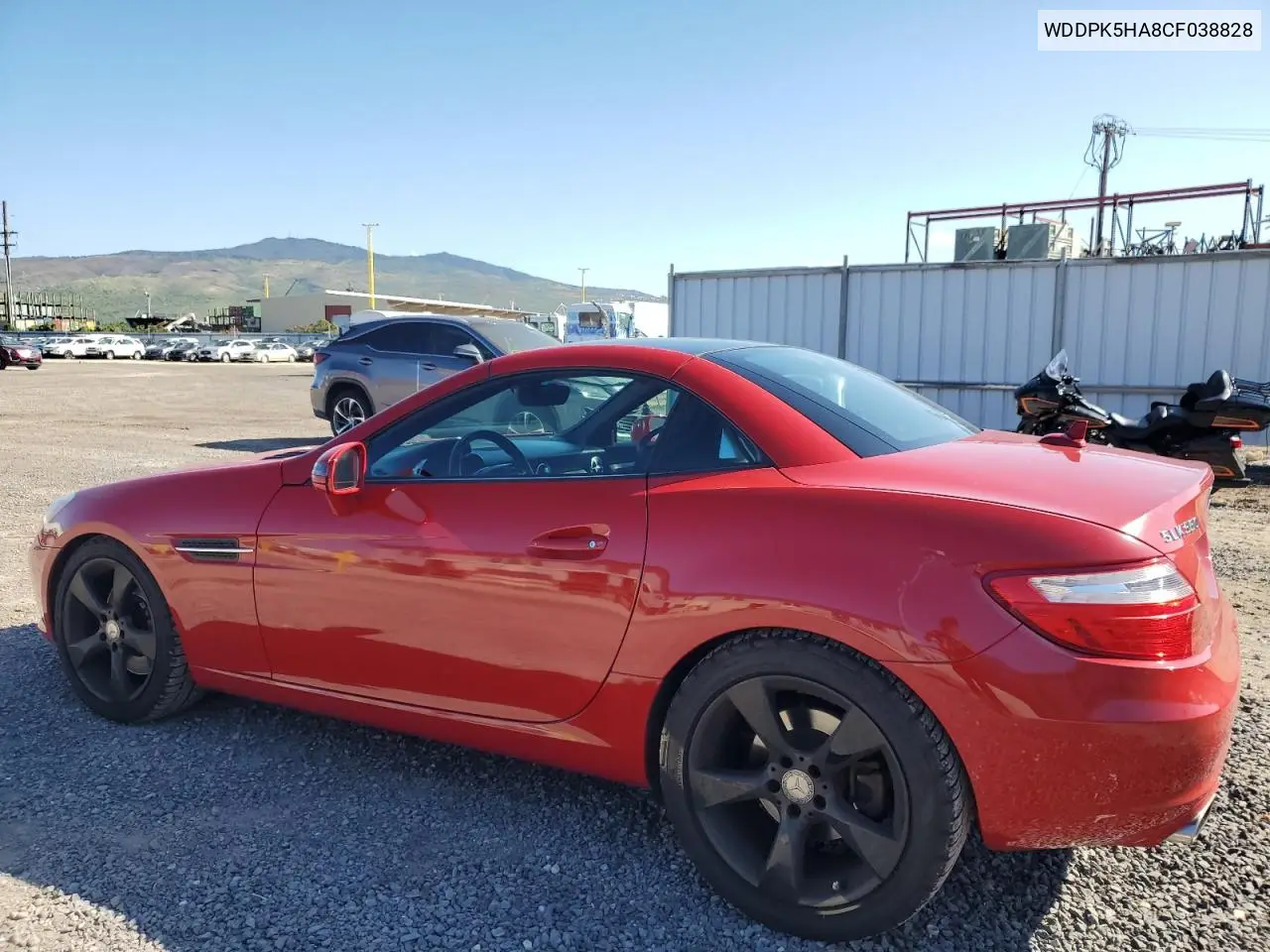 2012 Mercedes-Benz Slk 350 VIN: WDDPK5HA8CF038828 Lot: 50047975