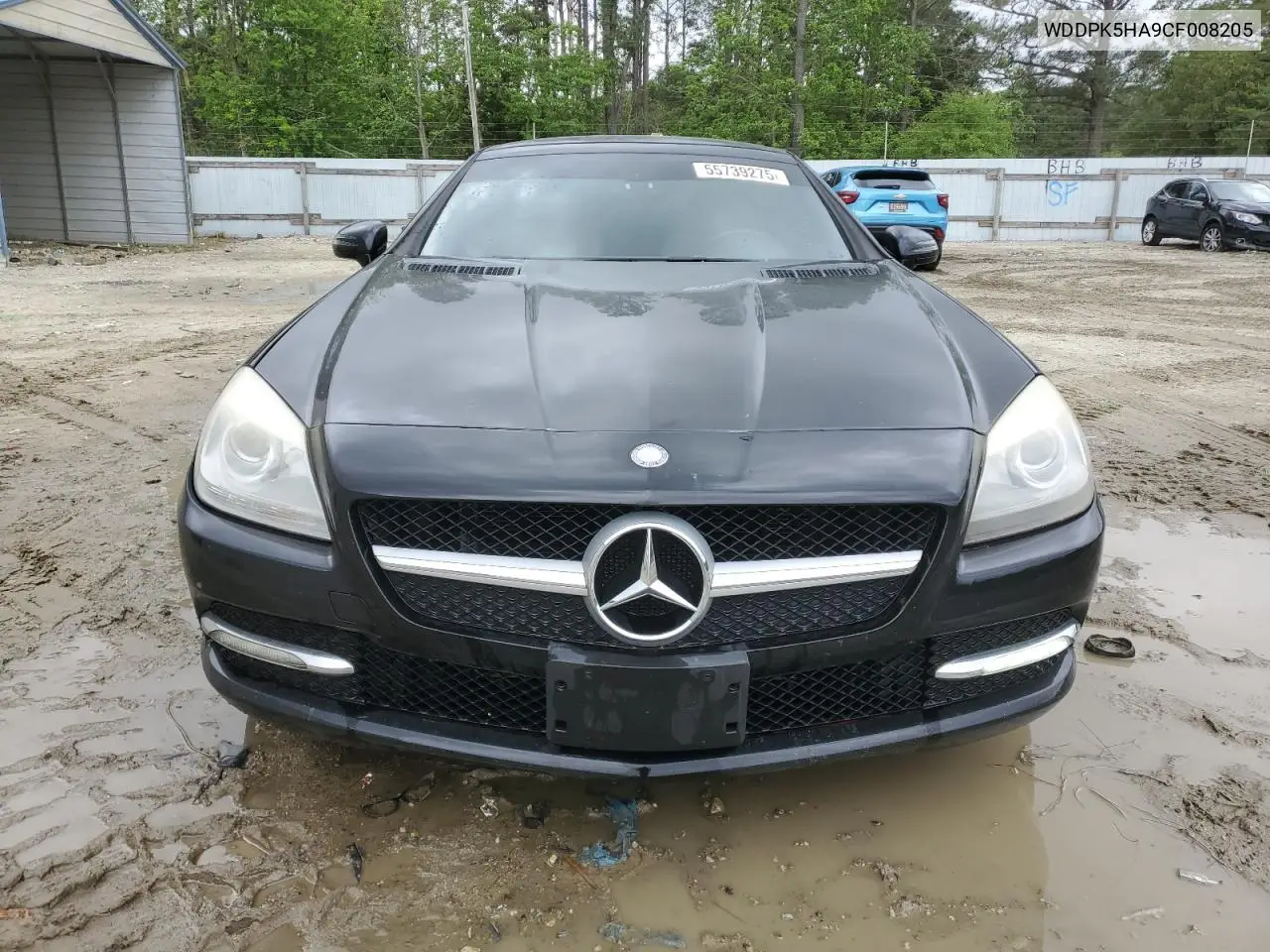 2012 Mercedes-Benz Slk 350 VIN: WDDPK5HA9CF008205 Lot: 55739275