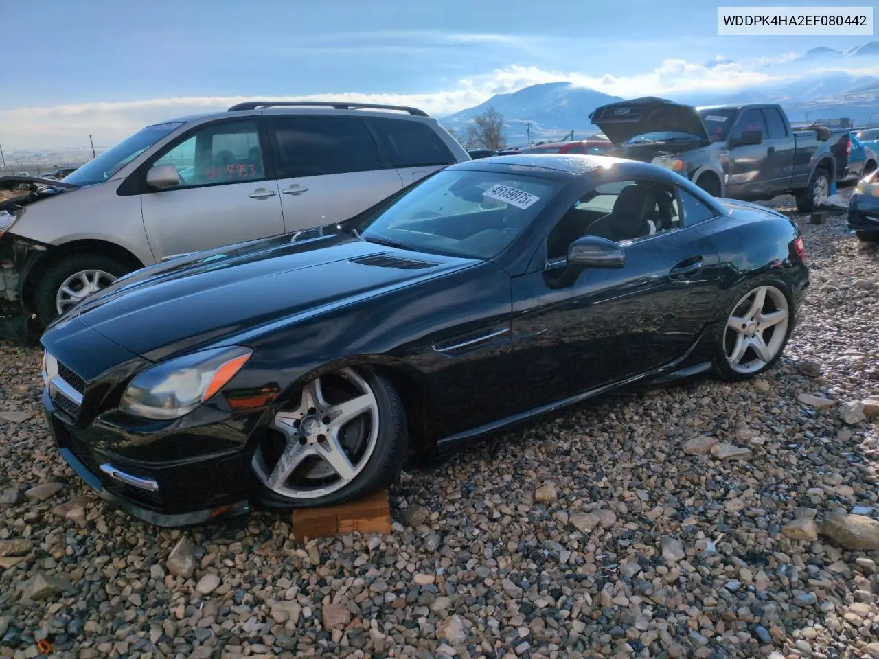 2014 Mercedes-Benz Slk 250 VIN: WDDPK4HA2EF080442 Lot: 45159975