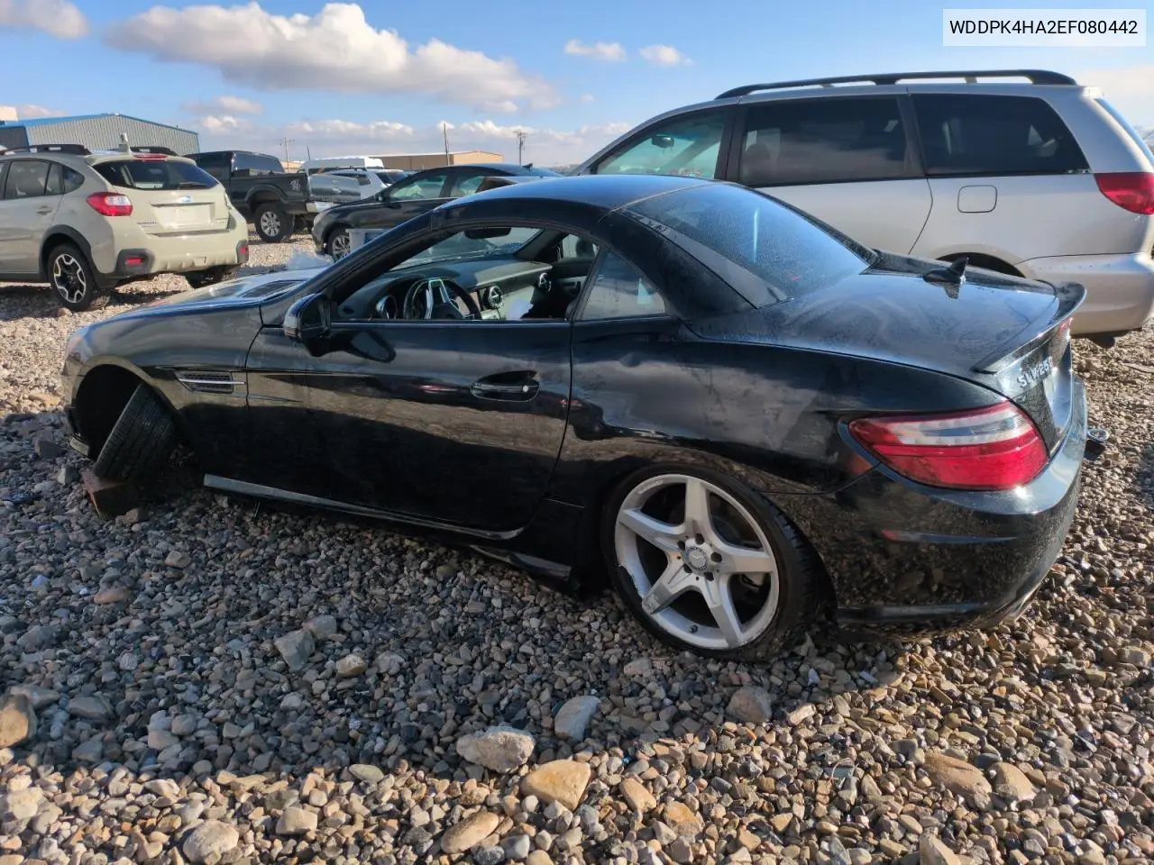 2014 Mercedes-Benz Slk 250 VIN: WDDPK4HA2EF080442 Lot: 45159975