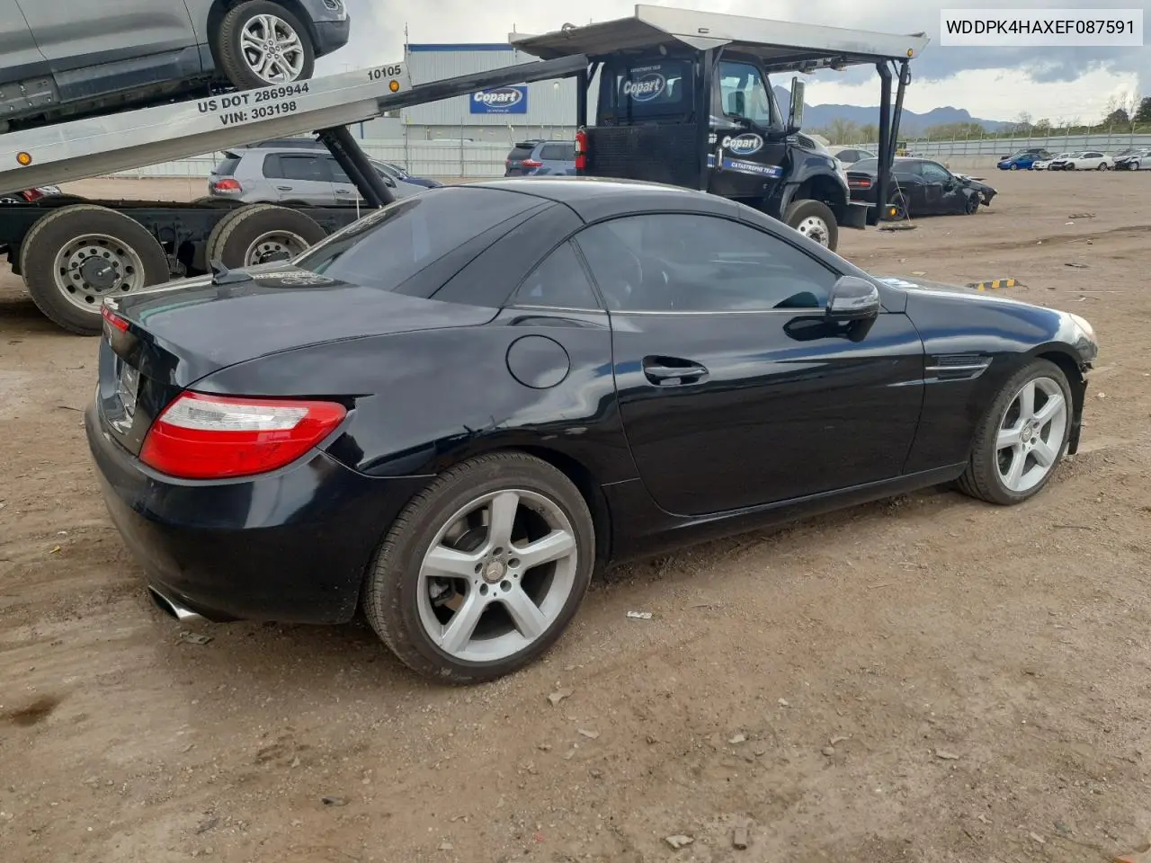 2014 Mercedes-Benz Slk 250 VIN: WDDPK4HAXEF087591 Lot: 54190795