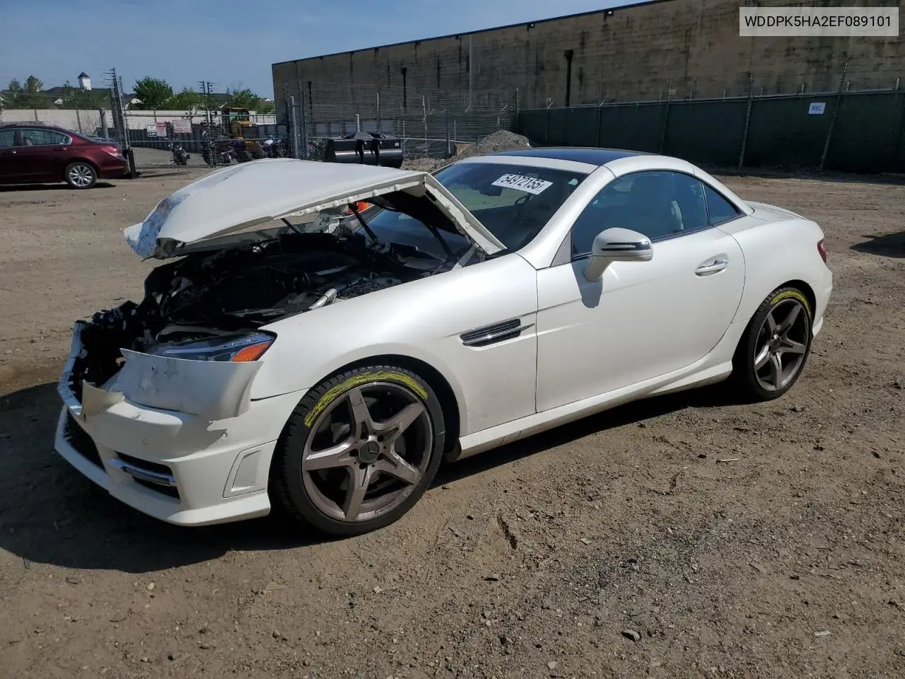 2014 Mercedes-Benz Slk 350 VIN: WDDPK5HA2EF089101 Lot: 54972155