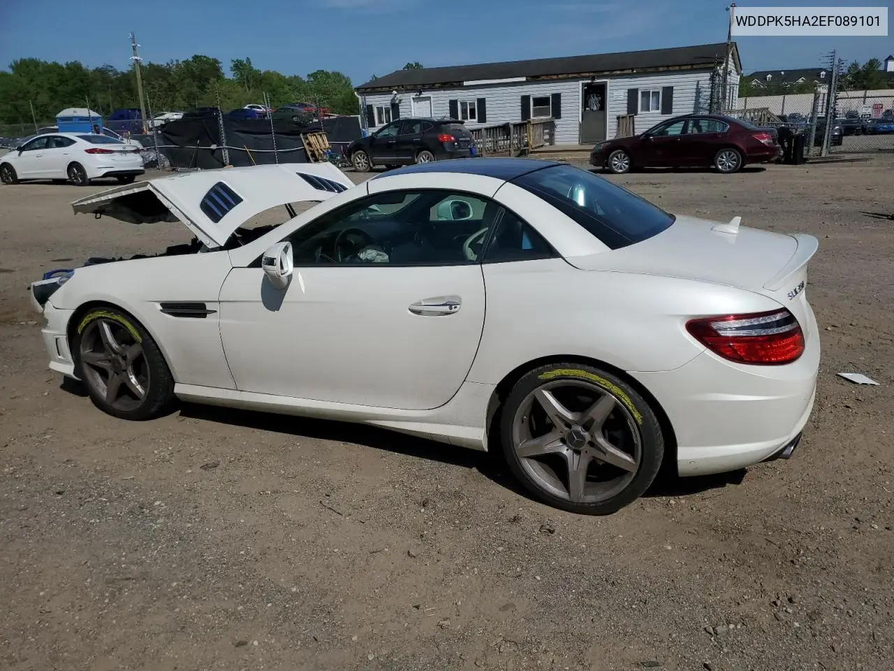 2014 Mercedes-Benz Slk 350 VIN: WDDPK5HA2EF089101 Lot: 54972155