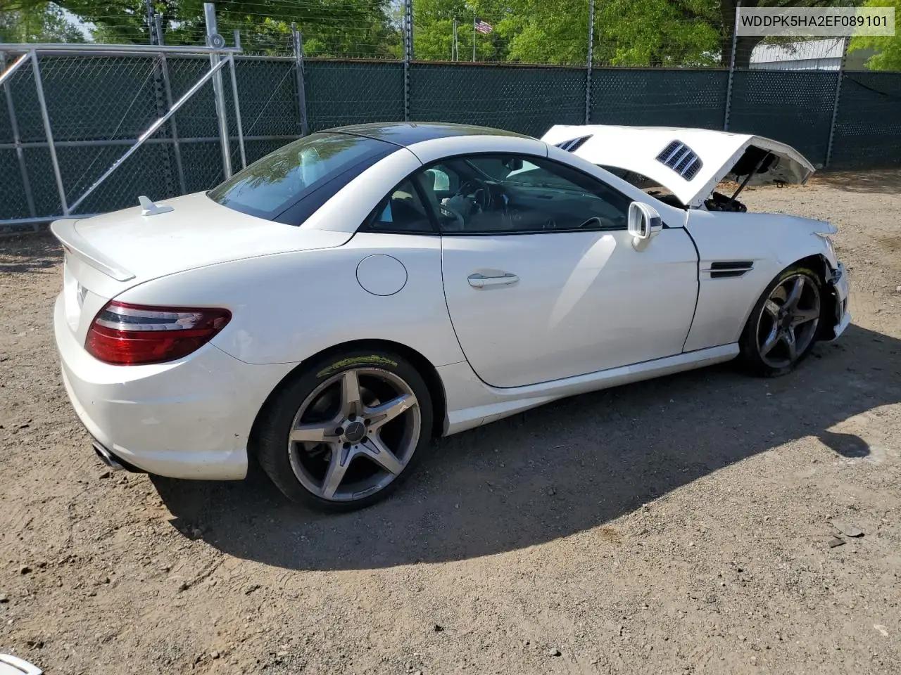 2014 Mercedes-Benz Slk 350 VIN: WDDPK5HA2EF089101 Lot: 54972155