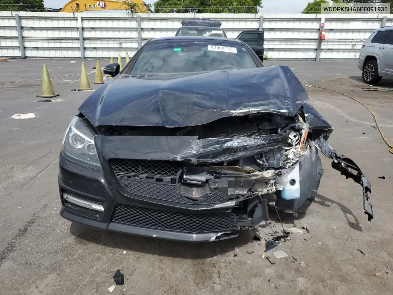 2014 Mercedes-Benz Slk 350 VIN: WDDPK5HA6EF091935 Lot: 62969735