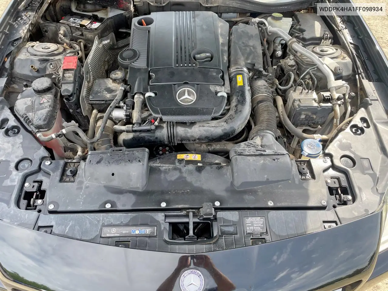 2015 Mercedes-Benz Slk 250 VIN: WDDPK4HA1FF098934 Lot: 55996085