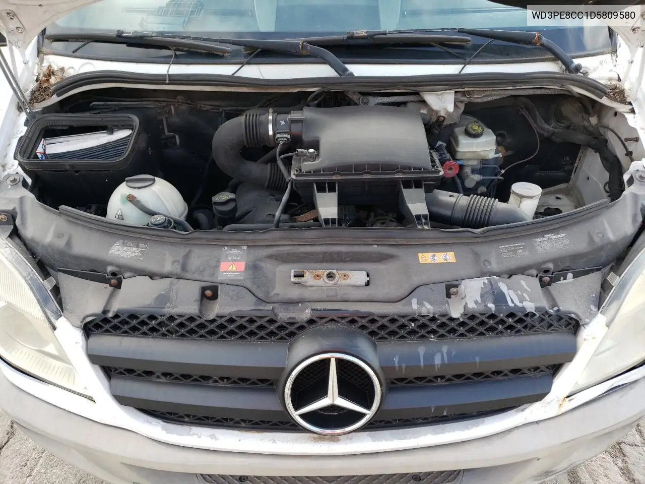 2013 Mercedes-Benz Sprinter 2500 VIN: WD3PE8CC1D5809580 Lot: 65800715