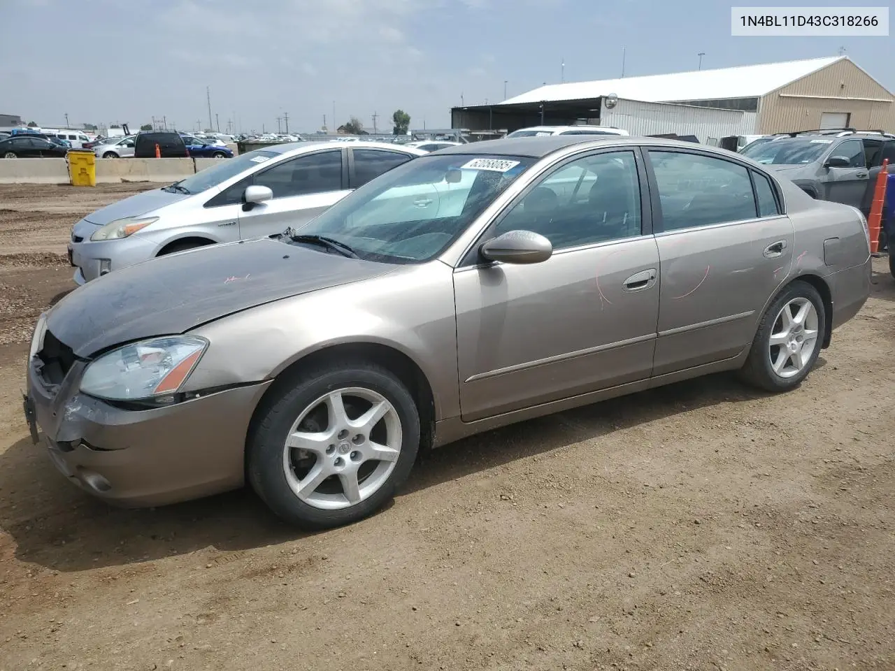 2003 Nissan Altima Se VIN: 1N4BL11D43C318266 Lot: 62058085