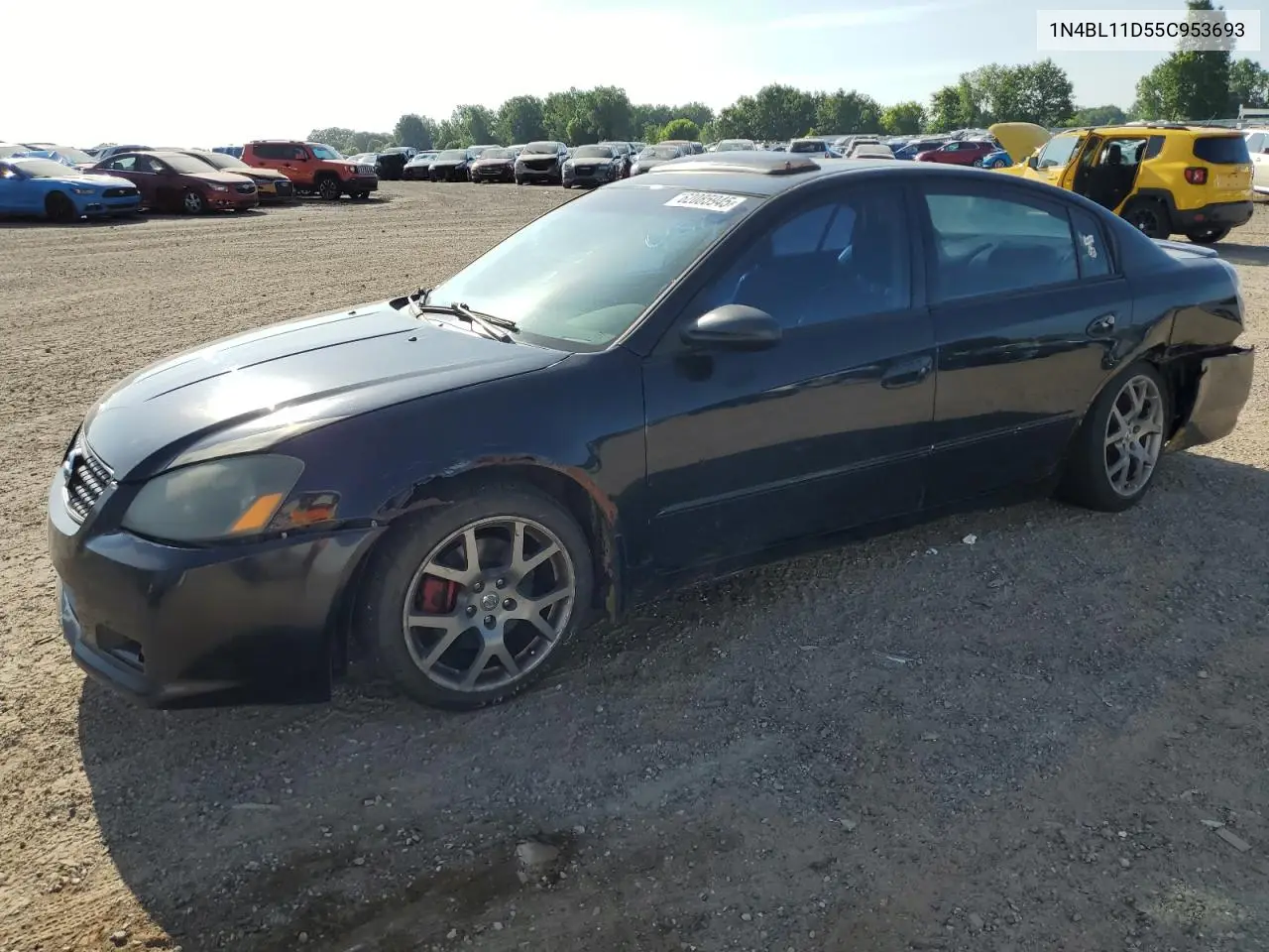 2005 Nissan Altima Se VIN: 1N4BL11D55C953693 Lot: 62085945