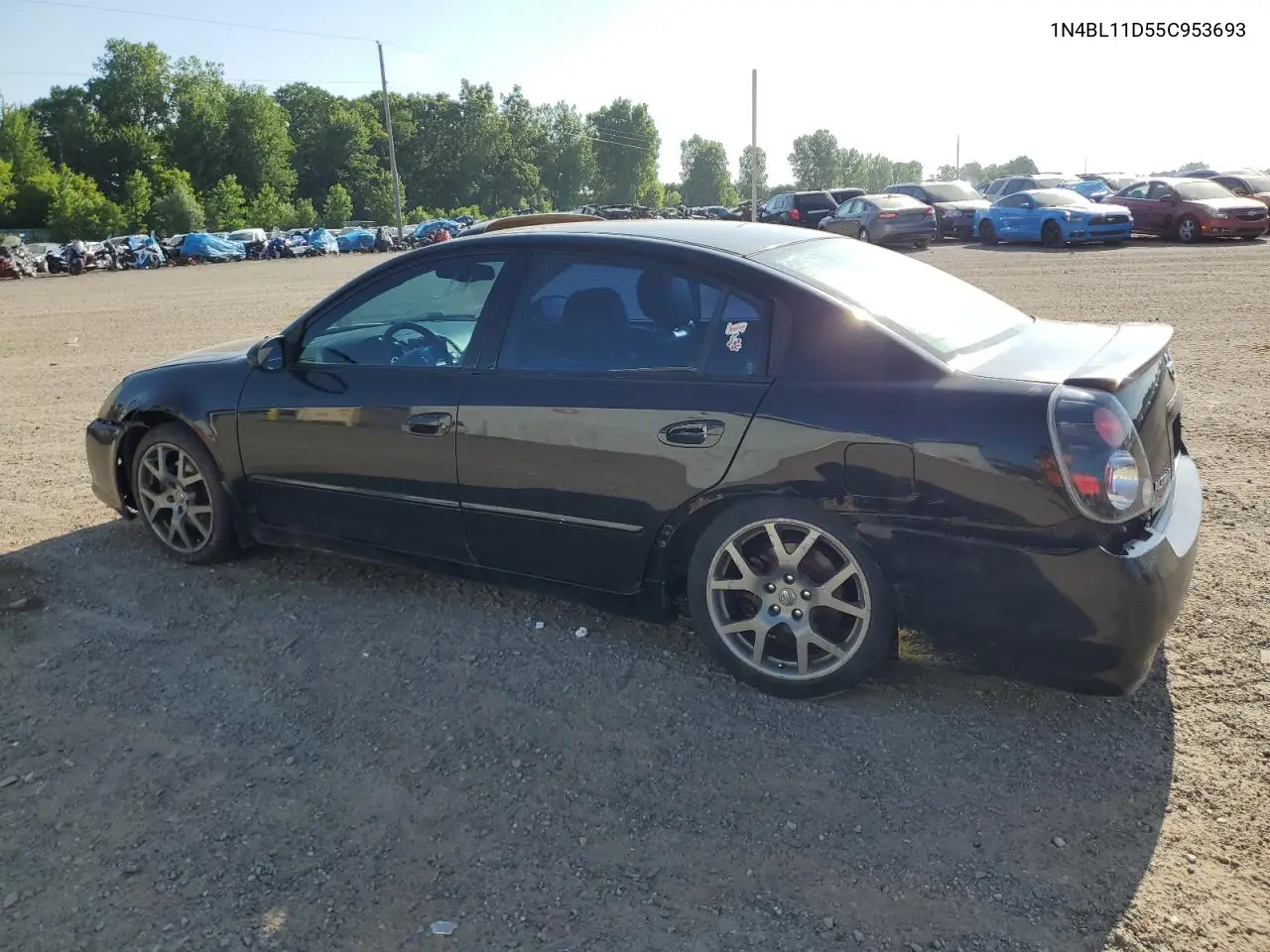 2005 Nissan Altima Se VIN: 1N4BL11D55C953693 Lot: 62085945