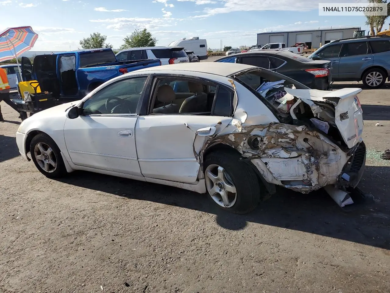 2005 Nissan Altima S VIN: 1N4AL11D75C202879 Lot: 62724455