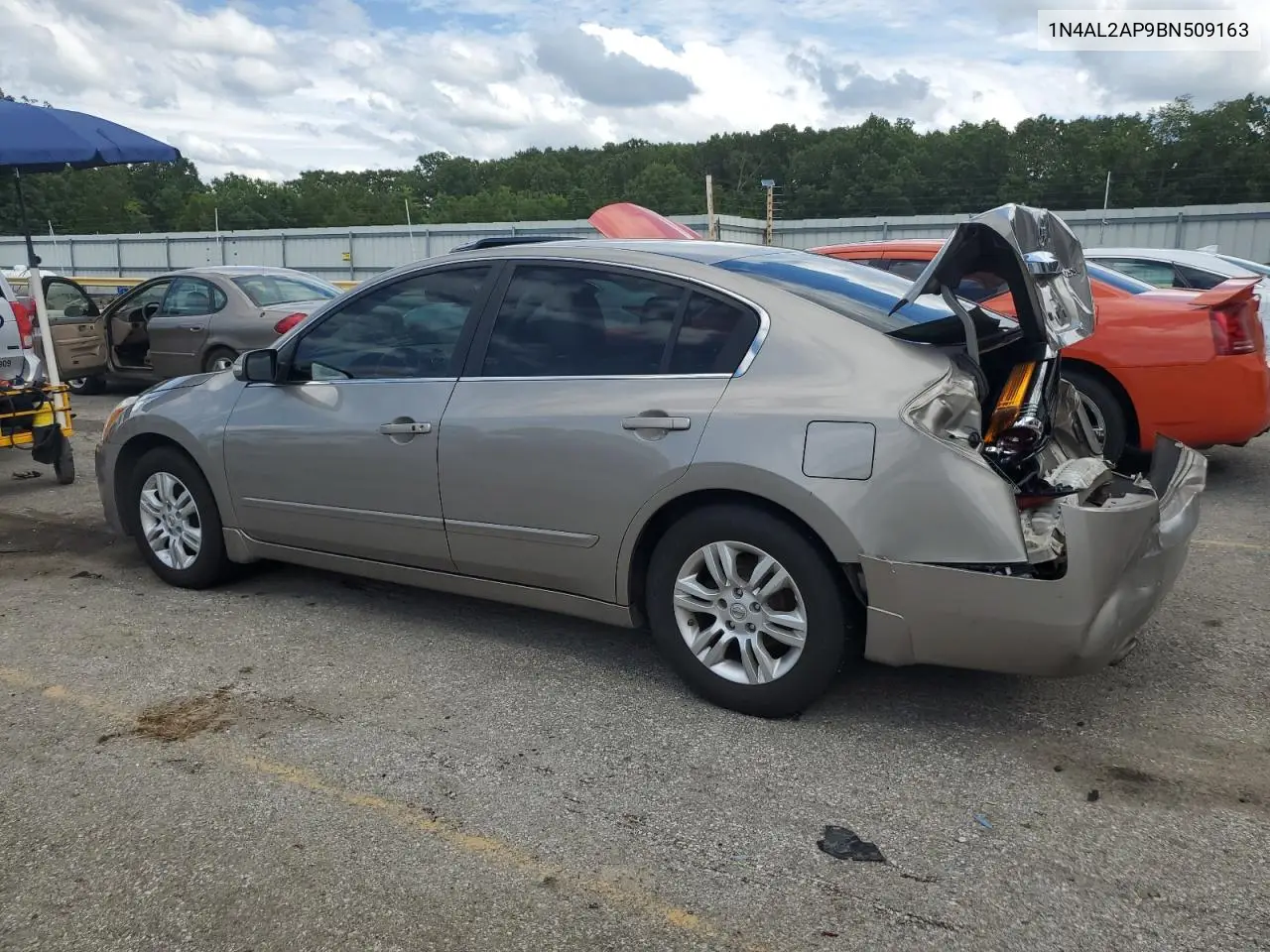 2011 Nissan Altima Base VIN: 1N4AL2AP9BN509163 Lot: 62666155