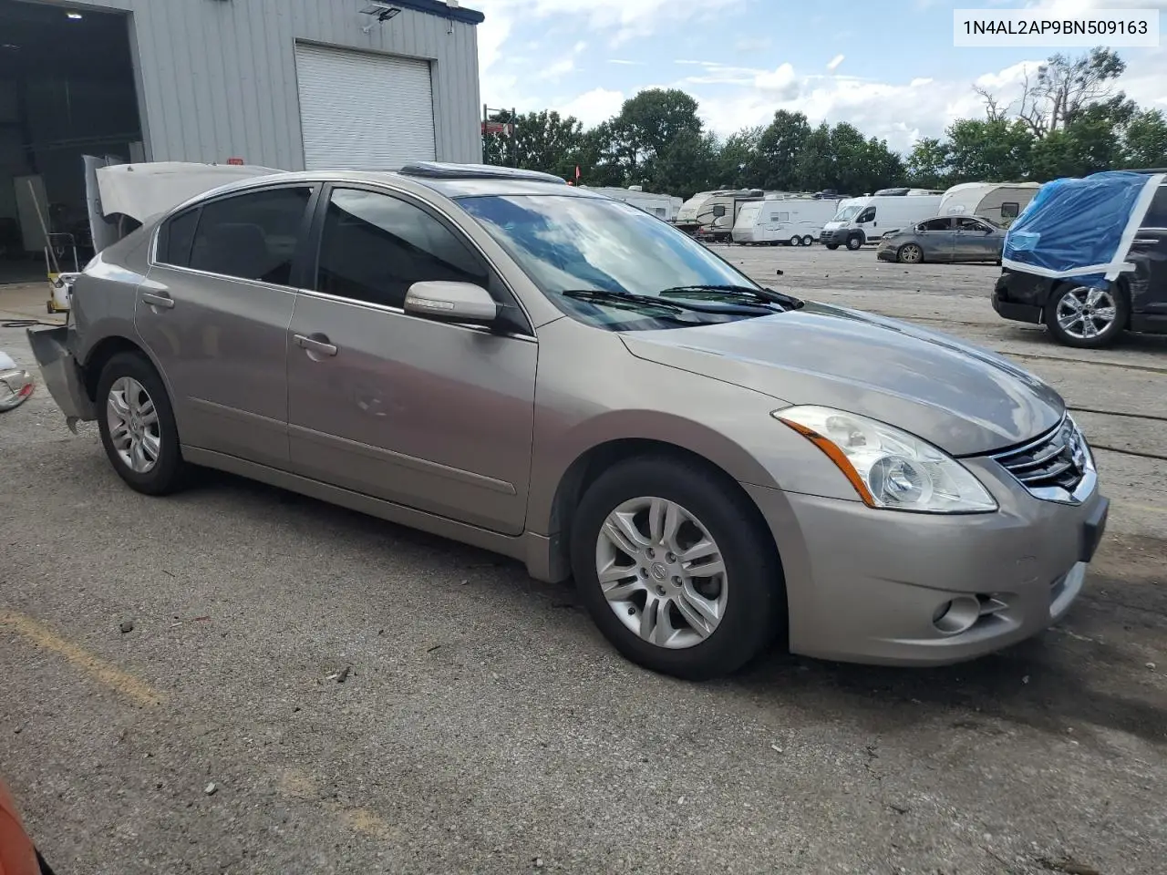 2011 Nissan Altima Base VIN: 1N4AL2AP9BN509163 Lot: 62666155