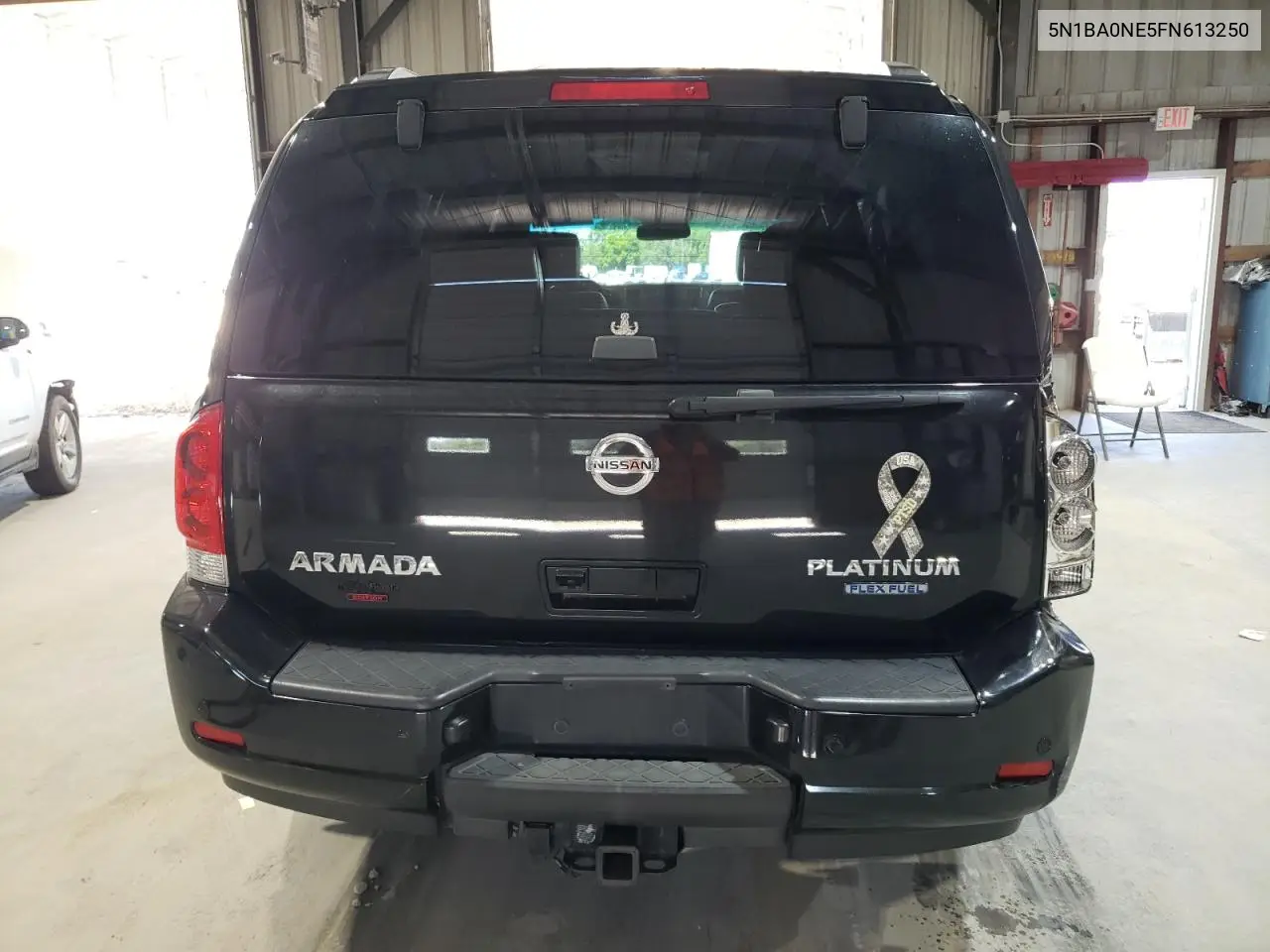 2015 Nissan Armada Platinum VIN: 5N1BA0NE5FN613250 Lot: 63285805