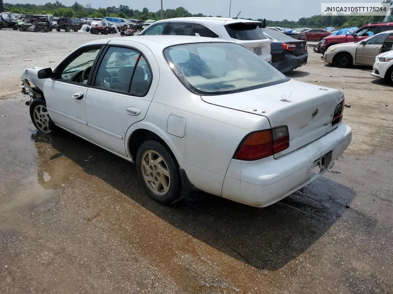 1996 Nissan Maxima Gle VIN: JN1CA21D5TT175244 Lot: 81274024