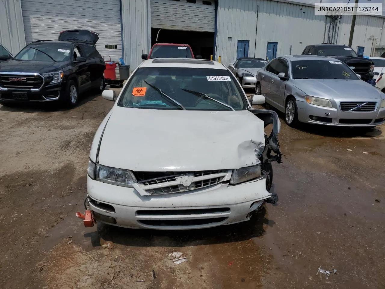 1996 Nissan Maxima Gle VIN: JN1CA21D5TT175244 Lot: 81274024