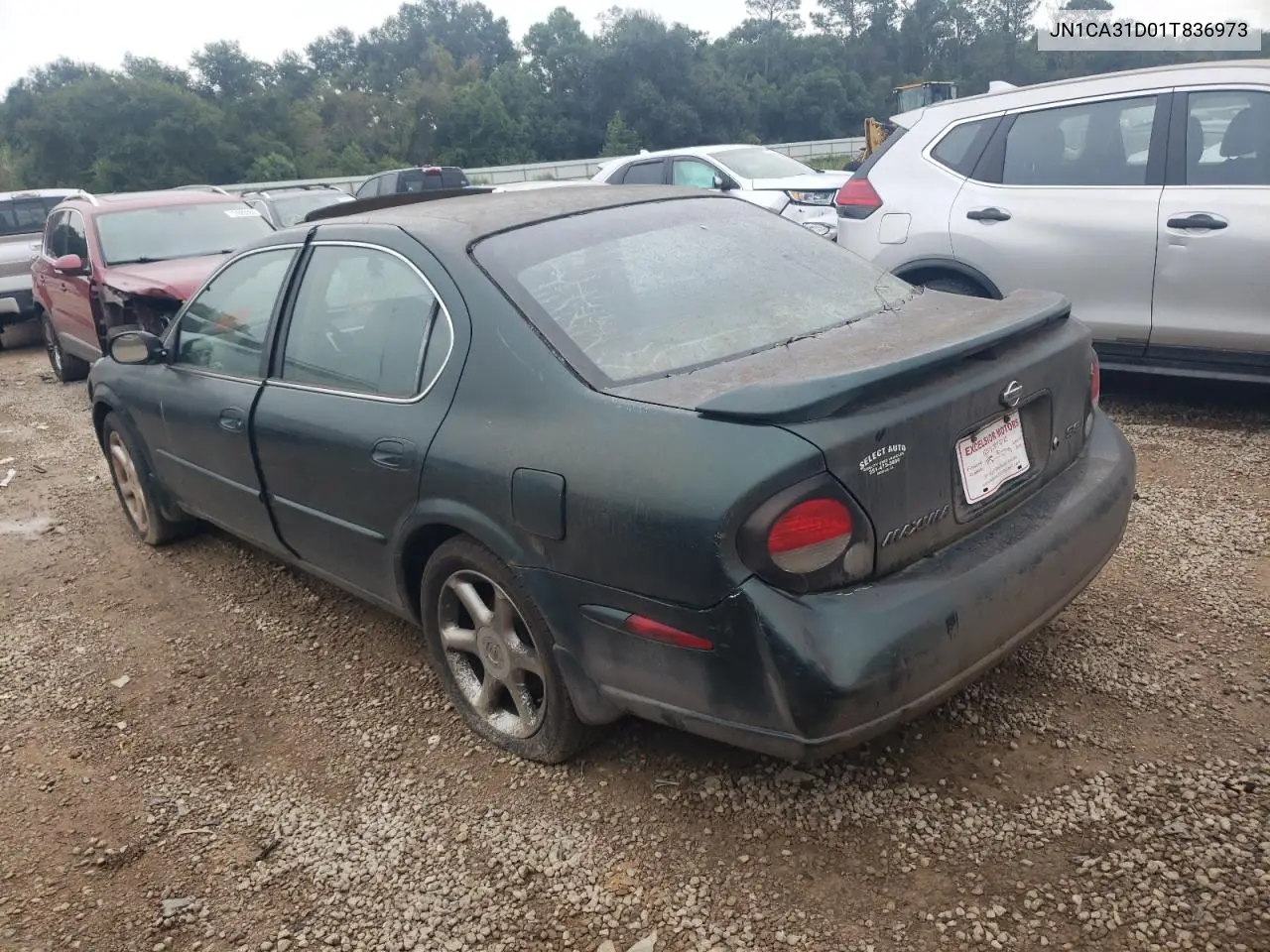 2001 Nissan Maxima Gxe VIN: JN1CA31D01T836973 Lot: 51158515